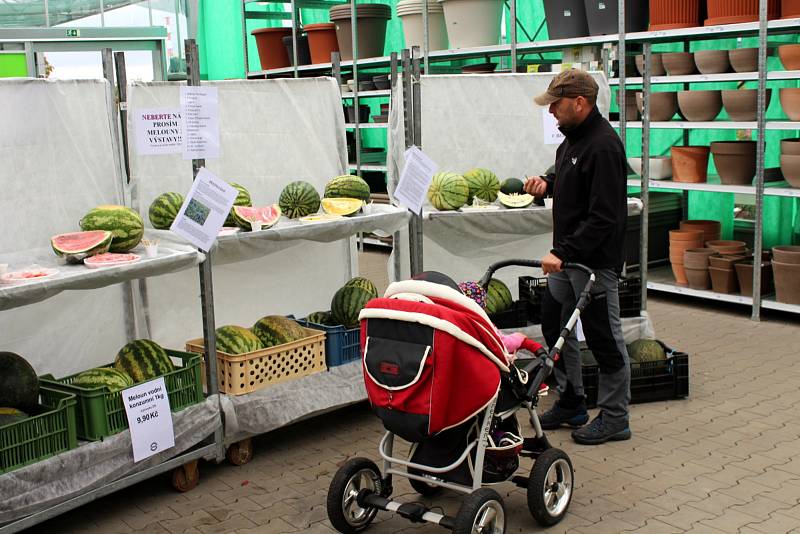 Melouny v zahradnictví u Libice mohli příchozí také ochutnat.