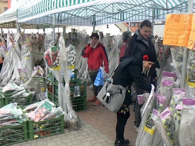 Výstaviště v Lysé hostilo výstavy Zemědělec, Jaro s koňmi a Festival dechovky.