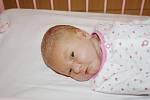 STELA JAKO HVĚZDIČKA. STELA JANULOVÁ je prvním miminkem Petry a Petra z Milovic. Narodila se 20. října 2016 ve 20.09 hodin.  Vážila 2 900 g a měřila 47 cm. Rodiče  o holčičce dopředu věděli a dali jí krásné jméno Stela, která má původní význam  hvězdička.