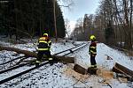 Nymburští drážní hasiči pomáhali u nehody, při níž vlak najel na spadlý strom. Foto: archiv drážních hasičů