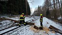 Nymburští drážní hasiči pomáhali u nehody, při níž vlak najel na spadlý strom. Foto: archiv drážních hasičů