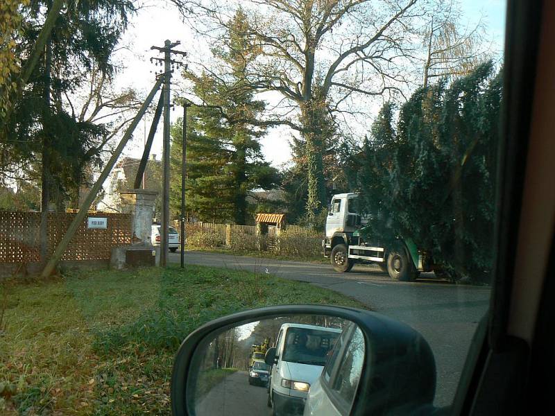 Instalace vánočního stromu v Sadské