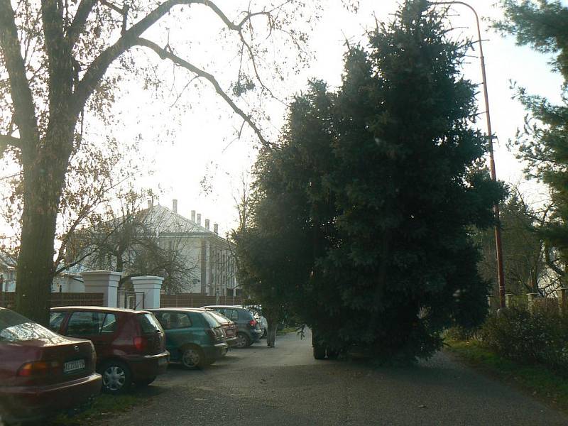 Instalace vánočního stromu v Sadské
