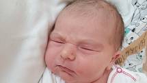 Mija Tarkayová se narodila v nymburské porodnici 25. listopadu 2021 v 6:57 hodin s váhou 3980 g  a mírou 50 cm. Z holčičky se radují rodiče  Monika a Lukáš a bráška Robin z Milovic.