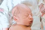 Tobias Hanke se narodil v nymburské porodnici 27. září 2022 v 16:37 hodin s váhou 2720 g a mírou 47 cm. Prvorozený chlapeček odjel do Lysé nad Labem s maminkou Terezou a tatínkem Ondřejem.