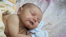 BARBORA JE PRVNÍ V RODINĚ. Barbora Havlíčková spatřila poprvé světlo světa 13. září 2013 v 11.30 hodin. Po porodu vážila 2 900 g a měřila 49 cm. Je prvním miminkem v rodině Lenky a Filipa z Poděbrad, kteří o holčičce dopředu věděli.