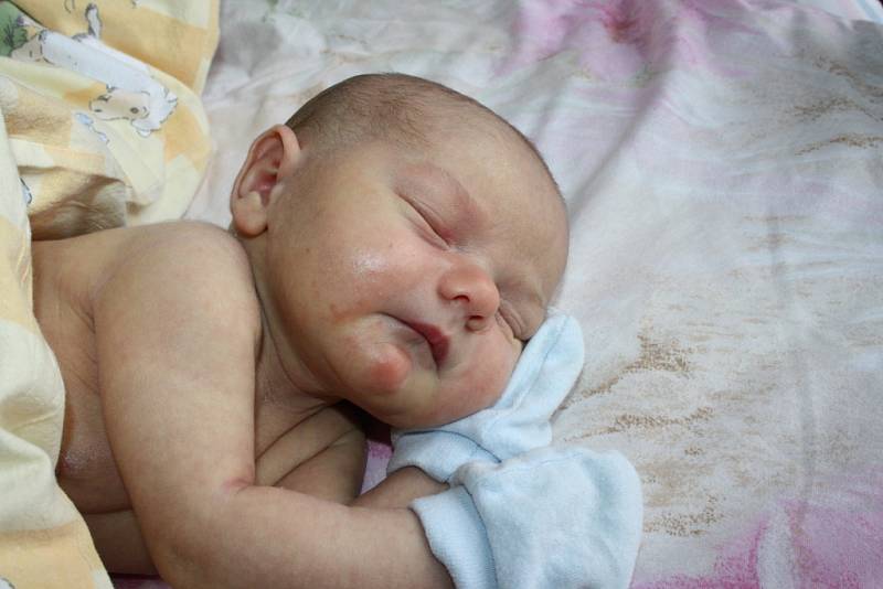 BARBORA JE PRVNÍ V RODINĚ. Barbora Havlíčková spatřila poprvé světlo světa 13. září 2013 v 11.30 hodin. Po porodu vážila 2 900 g a měřila 49 cm. Je prvním miminkem v rodině Lenky a Filipa z Poděbrad, kteří o holčičce dopředu věděli.