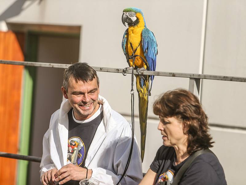 Výstava "Exotika a mazlíček 2019"  v Lysé nad Labem.