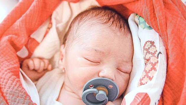 Alfréd Váňa se narodil v nymburské porodnici 27. listopadu 2022 v 17:35 hodin s váhou 3610 g a mírou 50 cm. V Jirnech se na prvorozeného chlapečka těšila maminka Klára a tatínek Milan.