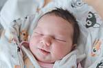 Zora Pavlasová z Chlumce nad Cidlinou se narodila v nymburské porodnici 8. března 2022 v 9:29 hodin s váhou 3670 g a mírou 49 cm. Domu si holčičku odvezli maminka Nikola, tatínek David a bráška Ondřej (2 roky).