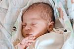 Ján Goroľ se narodil v nymburské porodnici 25. května 2022 v 10:07 hodin s váhou 3400 g a mírou 48 cm. Z prvorozeného chlapečka se v Milovicích raduje maminka Kristína a tatínek Ján.