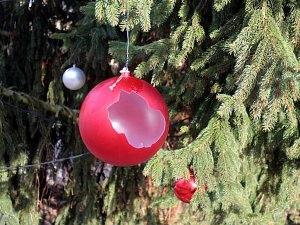Ozdoby na vánočním stromě v Poděbradech se staly terčem vandalů.