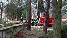 Mohutný strom spadl v policejním školícím středisku v Sadské.