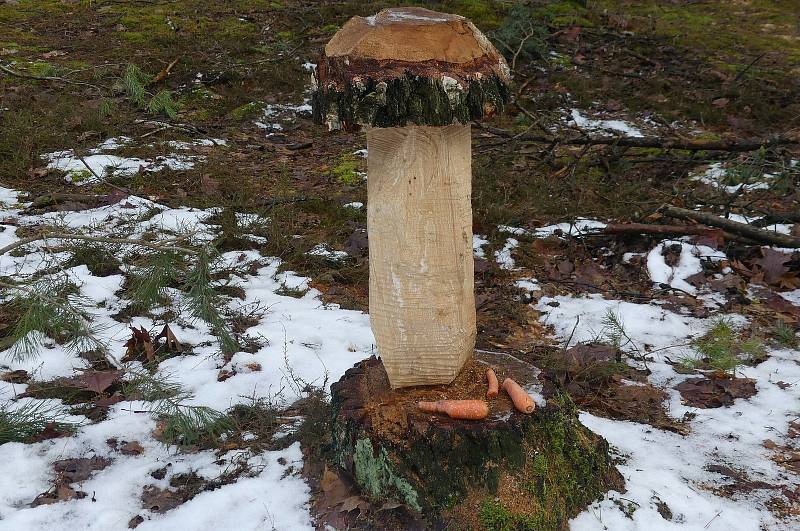 Turisté prošli různě dlouhé trasy Polabím v sobotu 30. ledna. Foto: Václav Míka