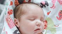 Antonín Nejedlý se narodil v nymburské porodnici 19. září 2022 v 8:18 hodin s váhou 3750 g a mírou 49 cm. V Poděbradech se z prvorozeného chlapečka radují rodiče Michaela a Jiří.
