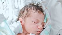 Emilie D'Agostino se narodila v nymburské porodnici 27. října v 3:08 hodin s váhou 3020 g a mírou 47 cm. Z holčičky se v Břežanech II raduje maminka Lucie, tatínek Damian a bráška Erik (3 roky).