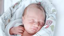 Nela Nechánská se narodila v nymburské porodnici 16. dubna 2022 v 16:15 hodin s váhou 2470 g a mírou 43 cm. V Nymburce bude prvorozená holčička bydlet s maminkou Pavlou a tatínkem Janem.