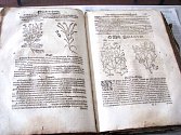 První původní česká knižní ilustrace v Mattioliho herbáři z roku 1562. 