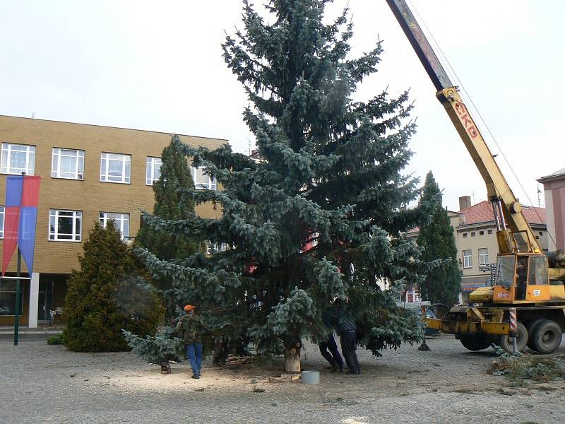 Vánoční strom už je v Nymburce