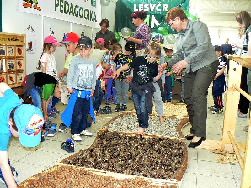 Jedna z každoročně nejnavštěvovanějších výstav v Lysé nad Labem Natura Viva byla slavnostně zahájena.