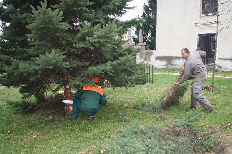 Cesta vánočního stromu v Kostelní Lhotě.