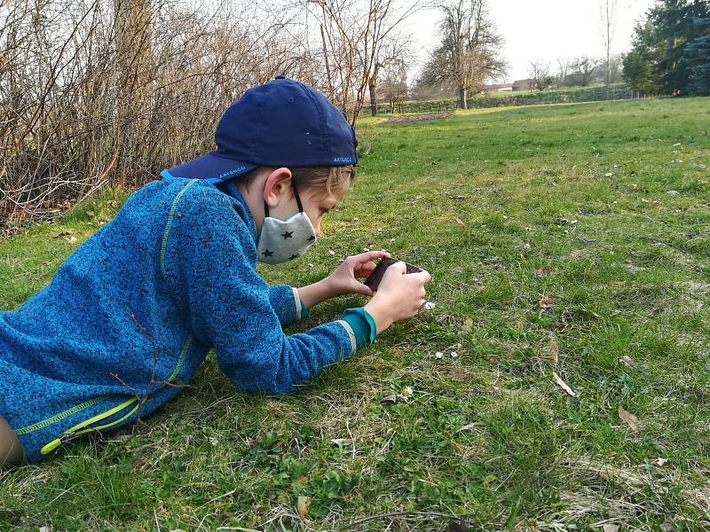 Tonda zpracovává projekt Jaro na zahradě.