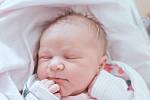 Anna Fryšová se narodila v nymburské porodnici 20. dubna 2022 v 7:16 hodin s váhou 3510 g a mírou 48 cm. S maminkou Evou, tatínkem Janem a brášky Janem (11 let) a Nikolasem (6 let) odjela do Čelákovic.