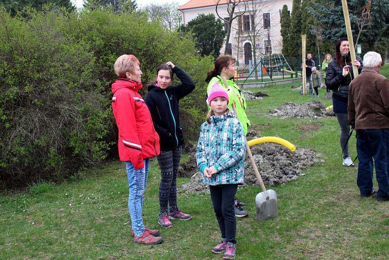 Ve Slovči sázeli lípy, které ponesou jména místních dětí.