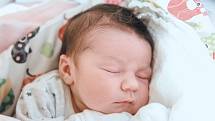 Sofie Šnajdrová se narodila v nymburské porodnici 26. září 2022 v 12:26 hodin s váhou 3660 g a mírou 49 cm. Z prvorozené holčičky v Lysé nad Labem se těšila maminka Kristýna a tatínek Karel.