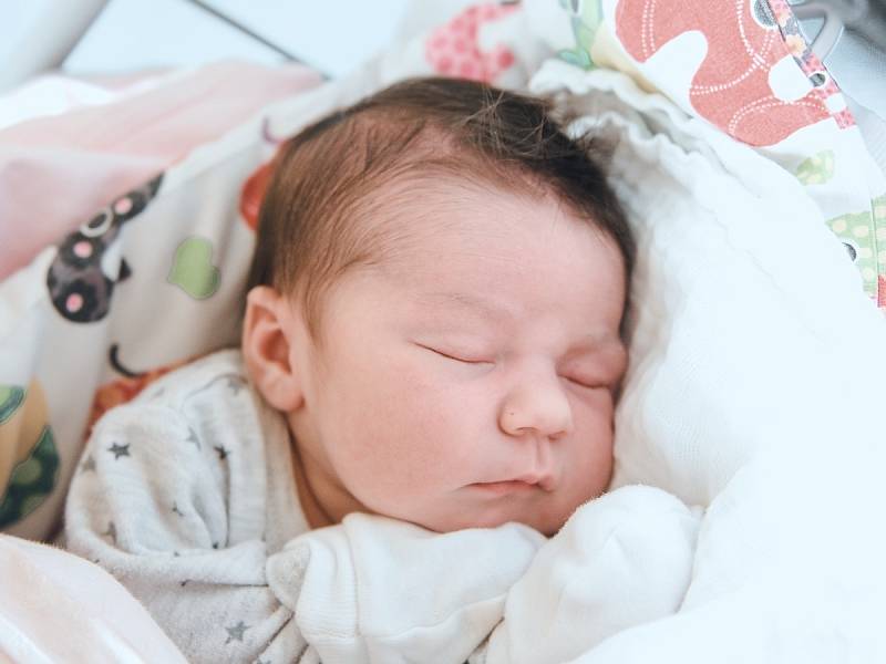 Sofie Šnajdrová se narodila v nymburské porodnici 26. září 2022 v 12:26 hodin s váhou 3660 g a mírou 49 cm. Z prvorozené holčičky v Lysé nad Labem se těšila maminka Kristýna a tatínek Karel.