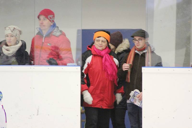 Akce Týden hokeje přilákala na poděbradský zimní stadion třicet dětí