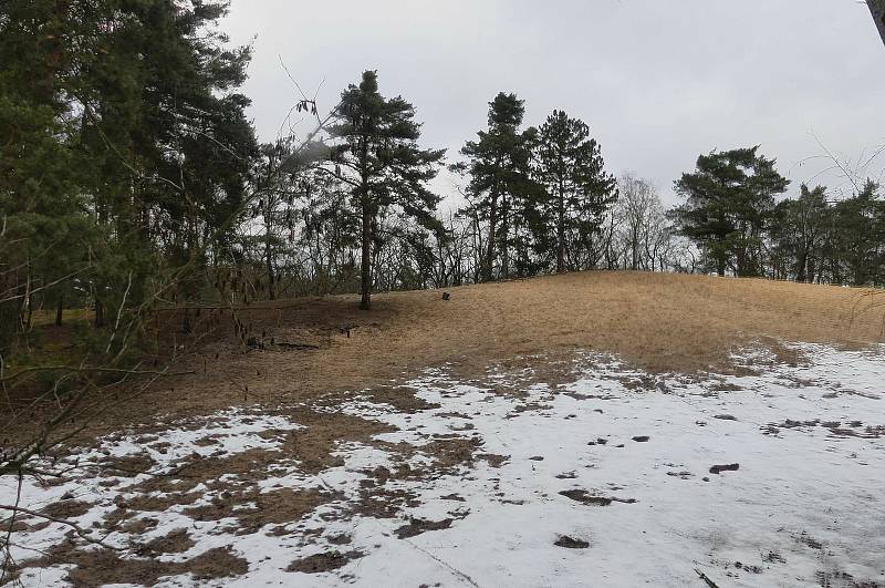 Turisté prošli různě dlouhé trasy Polabím v sobotu 30. ledna. Foto: Václav Míka