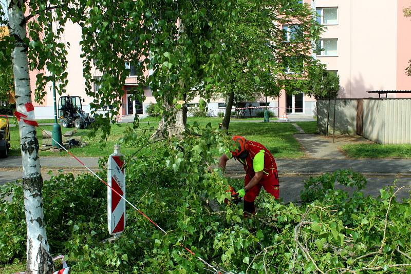 V pátek dopoledne byl na jankovickém sídlišti pokácen letitý topol.