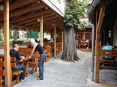 Hospůdkou roku na Nymbursku se stala restaurace Na Tarase