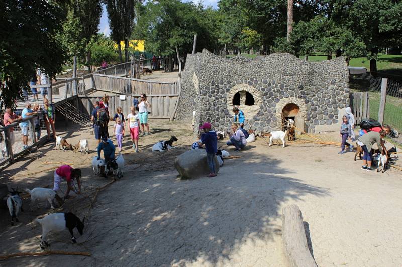 Zábavní a rodinný park v Milovicích na Nymbursku.