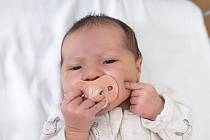 Vanda Mrzenová z Chlumce nad Cidlinou se narodila v nymburské porodnici 16. září 2021 v 7:52 s váhou 3380 g a mírou 48 cm. Na holčičku se těšila maminka Soňa, tatínek Jan a bráška Eliáš (8 let).
