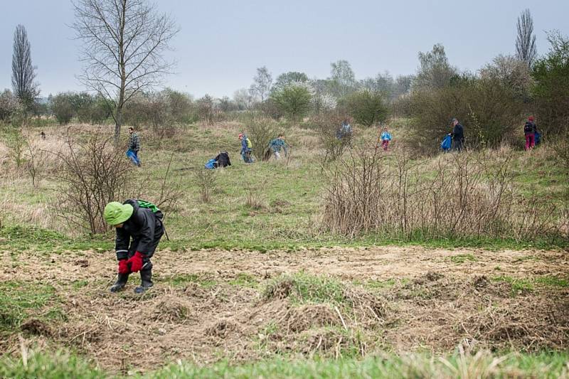 Brigáda dobrovolníků na pastvině divokých koní v Milovicích.