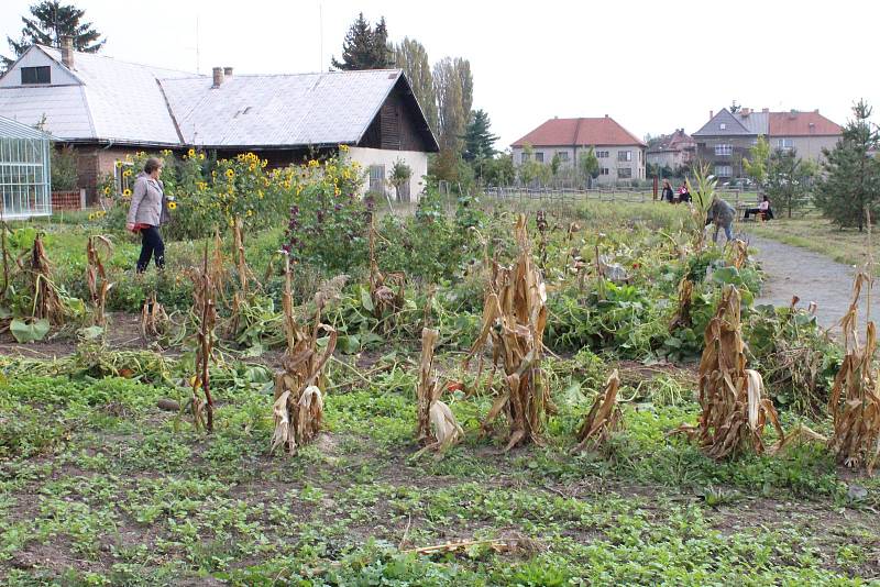 Ekologická zahrada u zemědělské školy v Poděbradech byla místem festivalu Díkuvzdání, kterým studenti a pedagogové oslavili letošní úrodu.