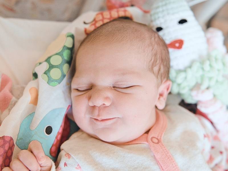 Isabella Jeřábková se narodila v nymburské porodnici 30. června 2022 v 22:41 hodin s váhou 3450 g a mírou 49 cm. S maminkou Nikolou a tatínkem Bohuslavem bude prvorozená holčička bydlet v Městci Králové.