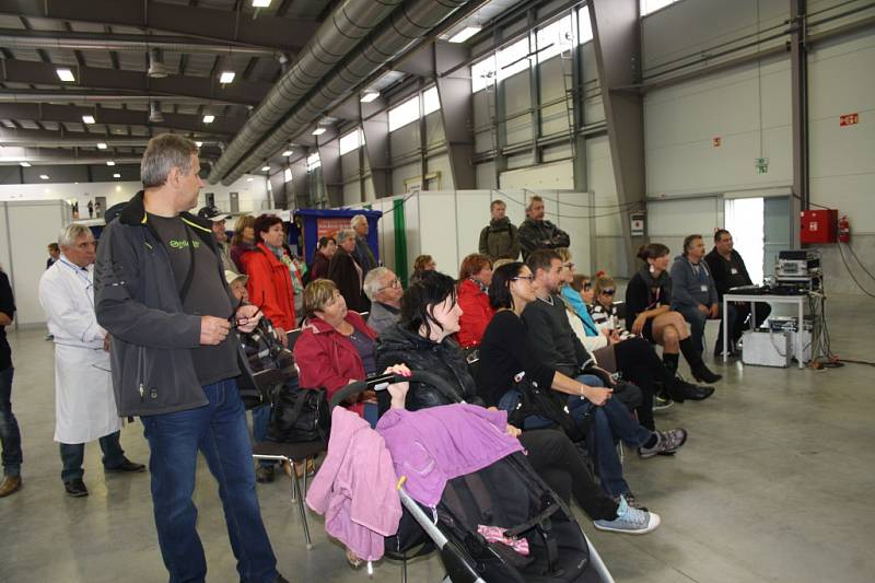 Dožínky a Gastrofestival v Lysé nad Labem