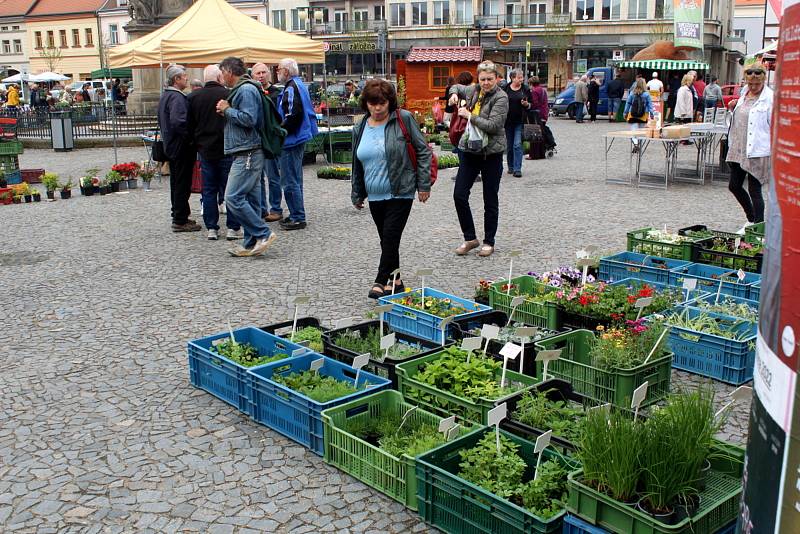 Farmářské trhy na náměstí Přemyslovců v Nymburce.