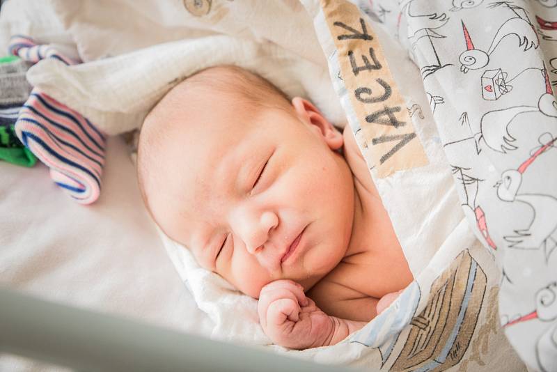 Josef Vacek, Přerov nad Labem. Narodil se 7. ledna 2019 v 21.16 hodin, vážil 3 280g a měřil 49 cm. Na prvorozeného syna se těšili rodiče Jana a Josef.