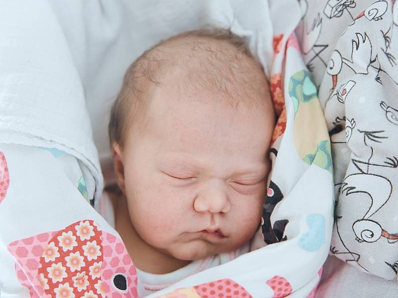 Nela Houdová se narodila v nymburské porodnici 29. června 2022 v 12:10 hodin s váhou 3600 g a mírou 51 cm. V Křinci bude prvorozená holčička bydlet s maminkou Marií a tatínkem Filipem.