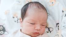 Le Bad Ngoc se narodila v nymburské porodnici 13. května 2022 v 17:34 hodin s váhou 2900 g a mírou 46 cm. Maminka Nguyen Thi Hong Nhung, tatínek Le Huy Hoang Thang a sestřička Le Bao Uyen si holčičku odvezli do Kostelní Lhoty.