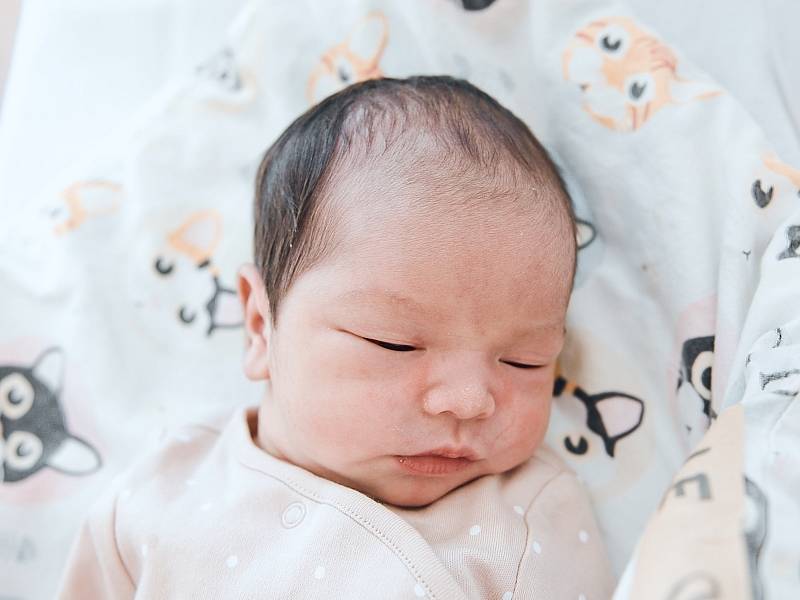 Le Bad Ngoc se narodila v nymburské porodnici 13. května 2022 v 17:34 hodin s váhou 2900 g a mírou 46 cm. Maminka Nguyen Thi Hong Nhung, tatínek Le Huy Hoang Thang a sestřička Le Bao Uyen si holčičku odvezli do Kostelní Lhoty.