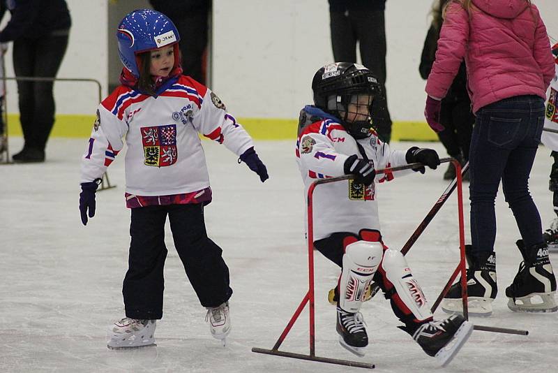 Akce Týden hokeje přilákala na poděbradský zimní stadion třicet dětí