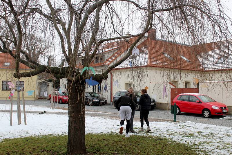 Ptačí sněm na počest Václava Havla vznikl na stromě Na Rejdišti.