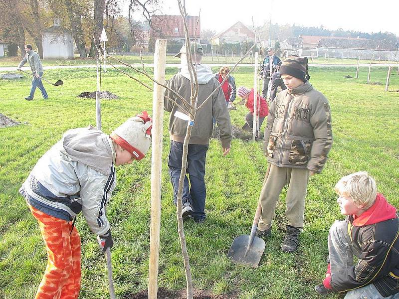 Pětačtyřicet stromů vysázeli účastníci Starolyského švetkování.