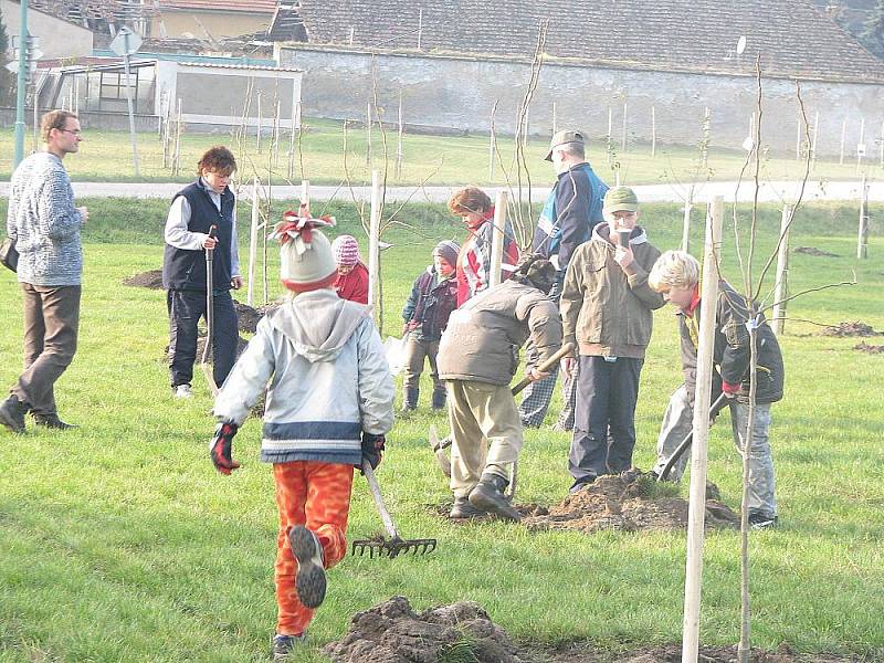 Pětačtyřicet stromů vysázeli účastníci Starolyského švetkování.