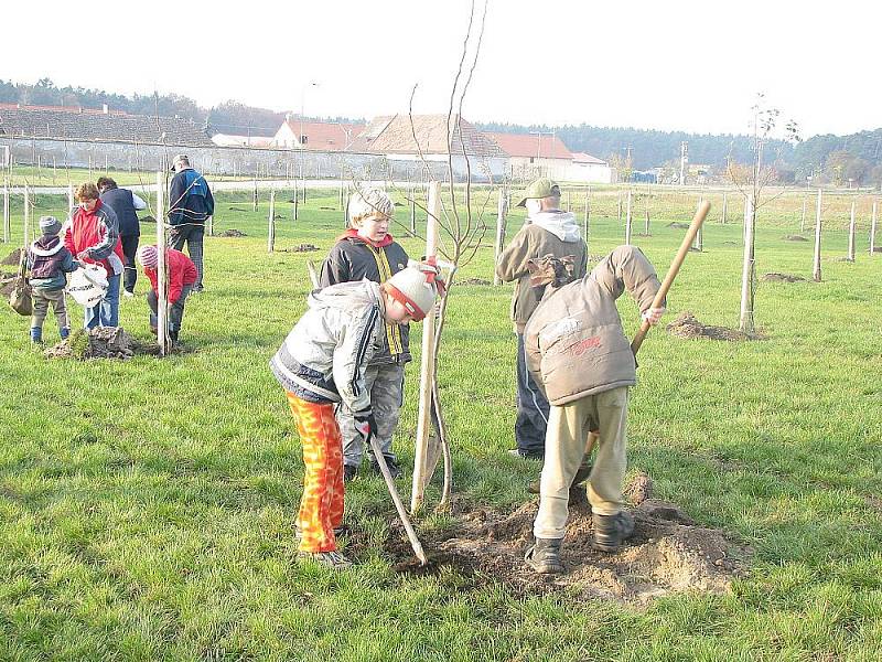 Pětačtyřicet stromů vysázeli účastníci Starolyského švetkování.